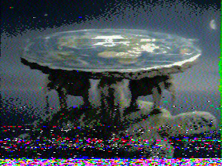 Photos from satellite