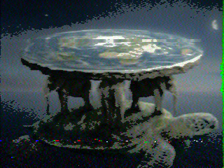 Photos from satellite