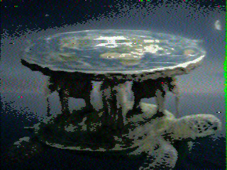 Photos from satellite