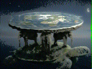 Photos from satellite