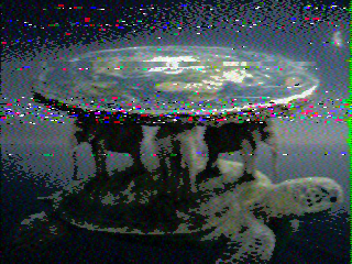 Photos from satellite