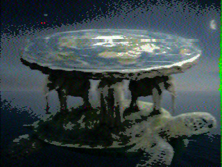 Photos from satellite