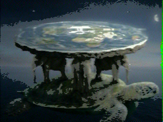 Photos from satellite