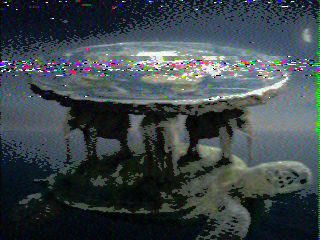 Photos from satellite