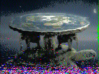 Фотография со спутника