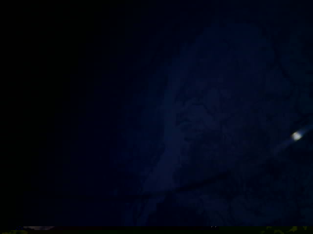 Photos from satellite