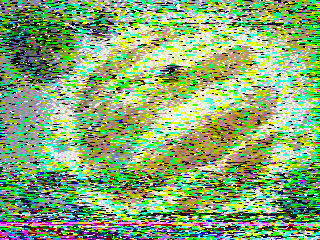 Фотография со спутника