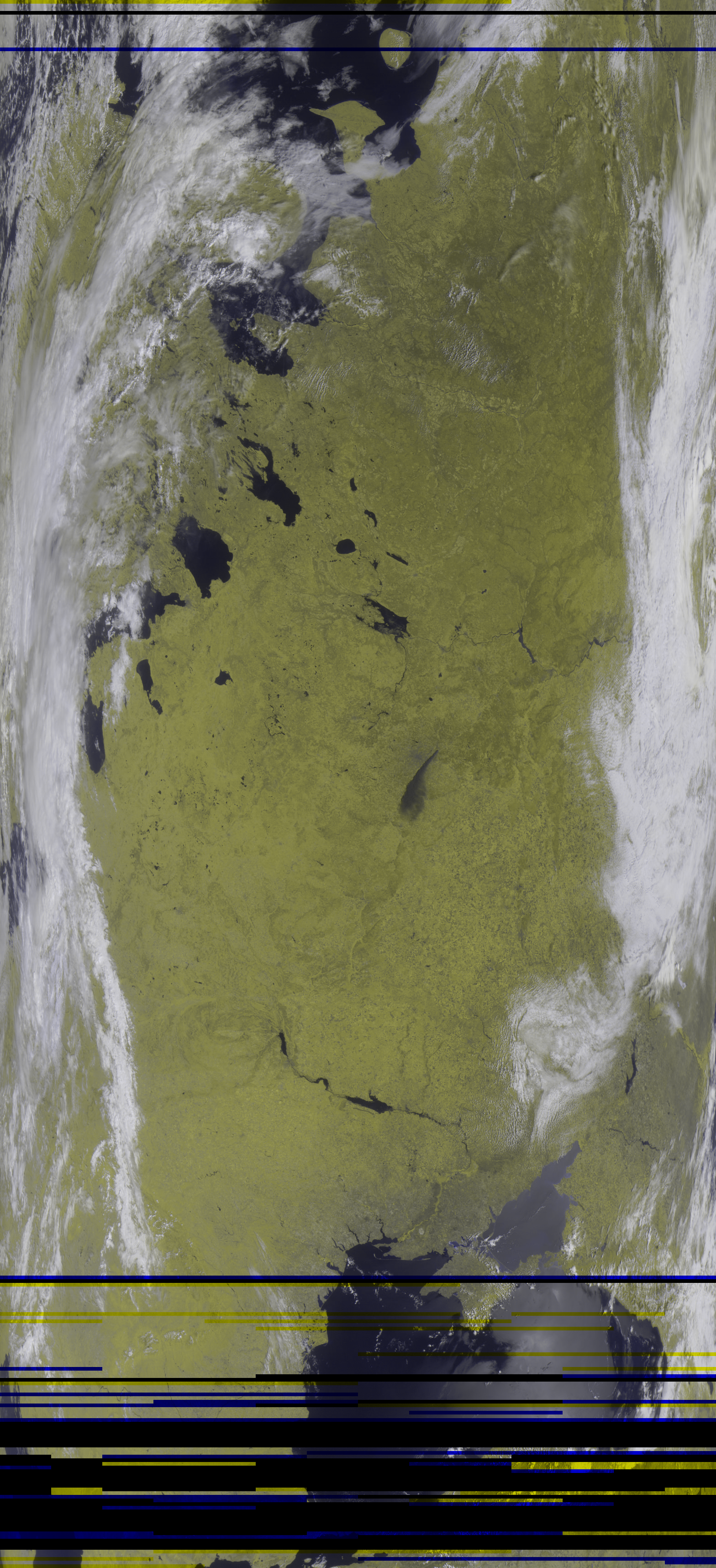 Satellite image