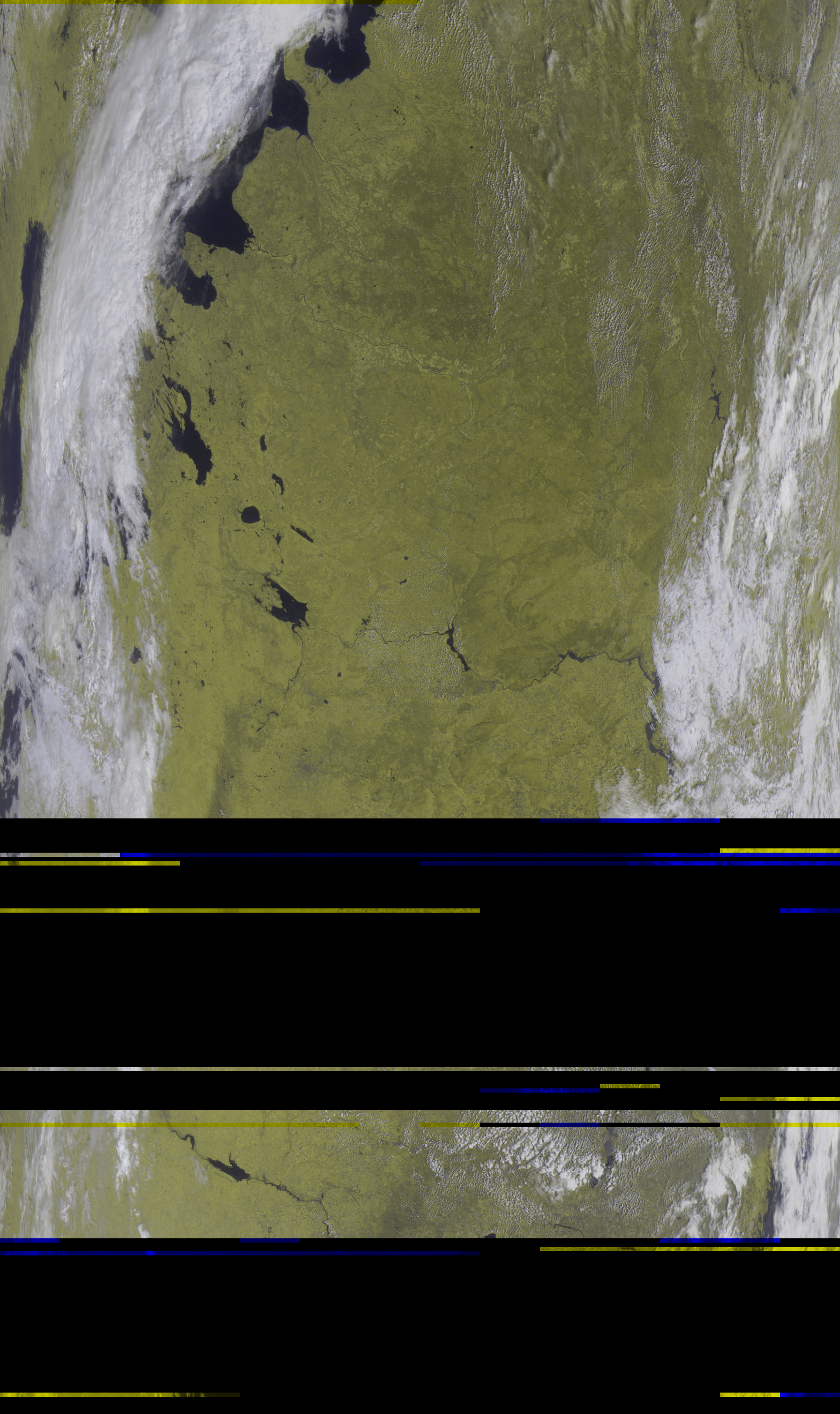 Satellite image