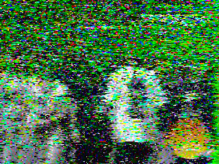 Фотография со спутника