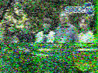 Фотография со спутника