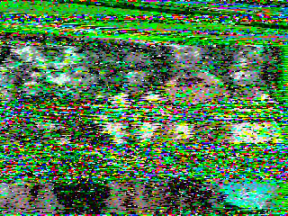 Фотография со спутника