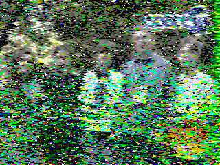 Фотография со спутника