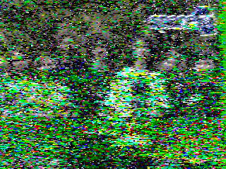 Фотография со спутника