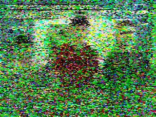 Фотография со спутника