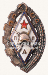 Знак «Добровольный пожарный профилактик (ДПП)»