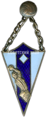 АВЕРС: Призовой жетон по баскетболу. 1933 № 4585а