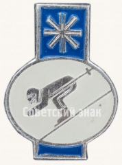 Знак «Лыжный спорт. Серия знаков «Зимние виды спорта»»