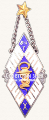 Жетон «Бебренский ветеринарный колледж (BVT). X выпуск»