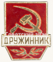 АВЕРС: Знак «Дружинник. Тип 4» № 9372в
