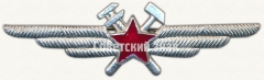 Нагрудный знак специалиста инженерно-авиационной службы (ИАС)