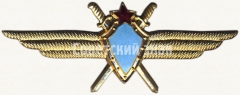 Нагрудный знак военного летчика-инструктора без класса