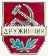 Знак «Дружинник. Тип 3»