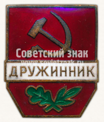 Знак «Дружинник. Тип 2»