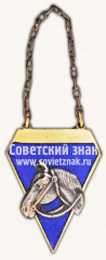 Призовой жетон за выездку лошади