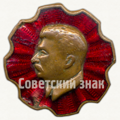 Знак с изображением Сталина