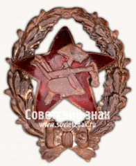 Знак командира Рабоче-крестьянской Красной Армии. Тип 27