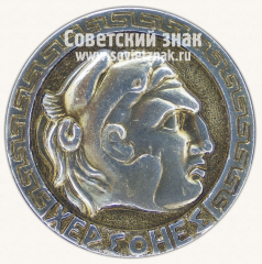 Знак «Голова. Серия значков «Херсонес»»