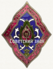 Знак «Герою революции» («За борьбу с басмачеством») Узбекской ССР, тип 2