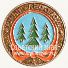 Юный лесовод. Серия знаков «Юный пионер»