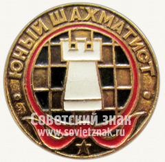 АВЕРС: Юный шахматист. Серия знаков «Юный пионер» № 10439а