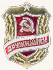 Знак «Дружинник. Тип 5»
