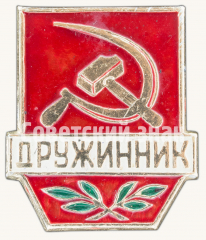 Знак «Дружинник. Тип 4»