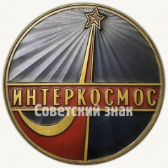 Вымпел ««Интеркосмос». Международные космические полеты. 1978»