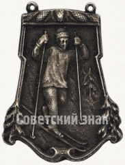 Призовой жетон за соревнование по лыжам