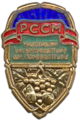 АВЕРС: Знак «Отличнику садоводства и виноградарства Молдавской ССР» № 1170а