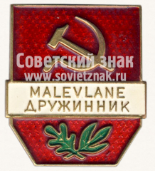 Знак «Дружинник (Malevlane)»