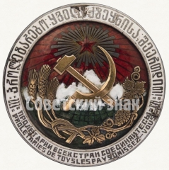 АВЕРС: Наградной знак от ЦИК Грузинской ССР № 6863а