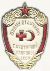 Знак «Юному отличнику санитарной обороны СССР»
