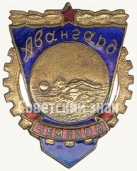 Знак чемпиона ДСО «Авангард». Водное поло