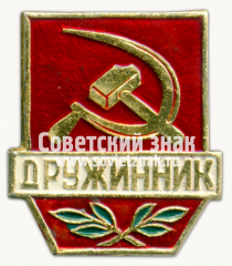 Знак «Дружинник. Тип 4»