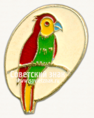 Знак с изображением попугая