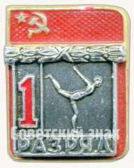 Знак «Спортивная гимнастика. 1 разряд»