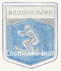 АВЕРС: Знак «Водные лыжи» № 9091а