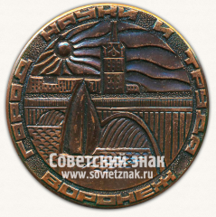 Настольная медаль «Воронеж. Город науки и труда»