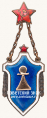 АВЕРС: Знак «Жетон победителя соревнований по шахматам» № 13740а